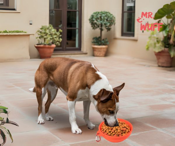 Plato Comedero Para Perro Plegable 17x11x5cm Mr Wuff Color Rojo - Imagen 3