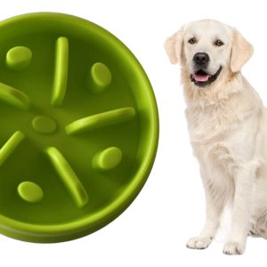 Plato Comedero Para Perro Interactivo Comida Lenta Mr Wuff Verde