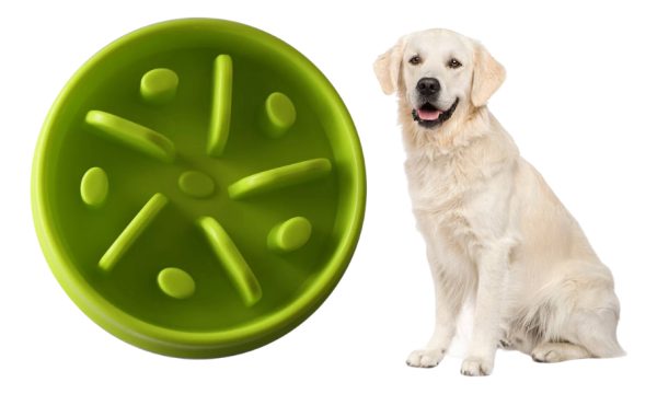 Plato Comedero Para Perro Interactivo Comida Lenta Mr Wuff Verde