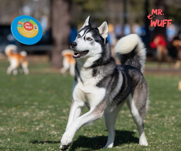 Frisbee Volador Perro Mr Wuff Resistente Flexible Azul - Imagen 3