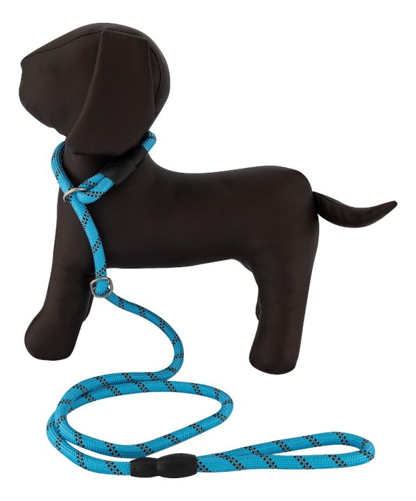 Correa Para Perro Resistente Ajustable Reflejante Mr Wuff Color Azul - Imagen 9