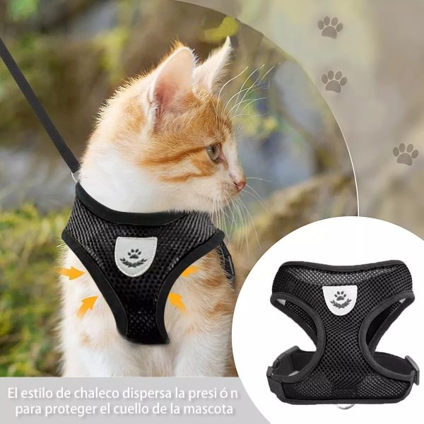 Pechera Perro Arnes Seguridad Mr Wuff Chico Mediano Y Grande Negro L42-56cm - Imagen 10
