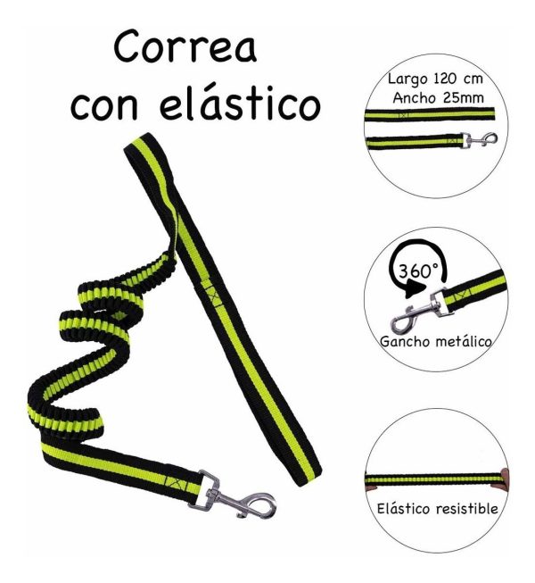 Correa Para Perro Elástica 1.20m Resistente De Alta Calidad Gancho Metalico Color Verde - Imagen 11