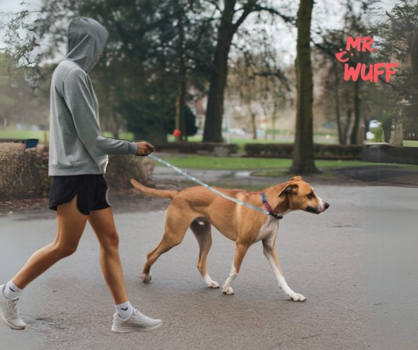 Correa Para Perros Grande Resistente Fuerte 1.20m Mr Wuff Gris - Imagen 4