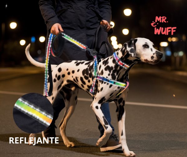 Pechera Arnés De Seguridad Perro Con Correa Y Collar Mr Wuff Multicolor L - Imagen 4