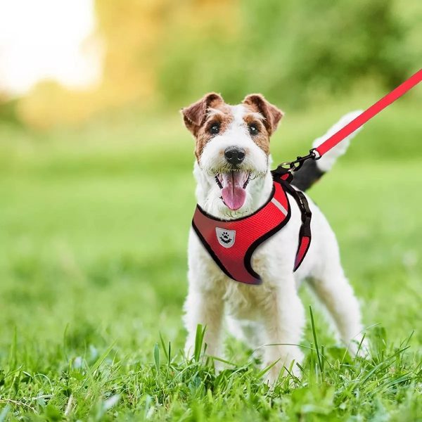 Pechera Perro Arnes Seguridad Mr Wuff Chico Mediano Y Grande Rojo M37-47cm - Imagen 9