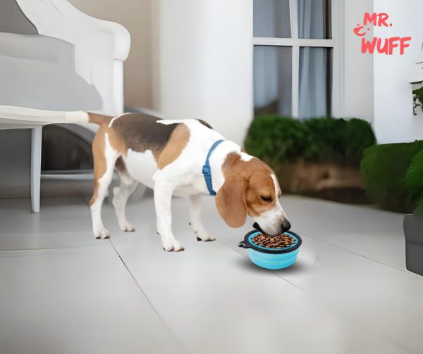 Plato Comedero Para Perro Plegable 155g Mr Wuff Color Azul - Imagen 4