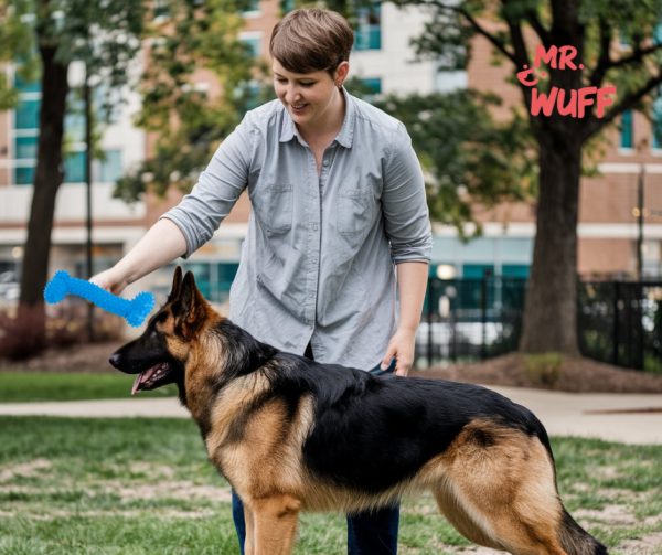 Juguete Mordedera Hueso Perro Mr Wuff Antiestres Resistente Azul - Imagen 7