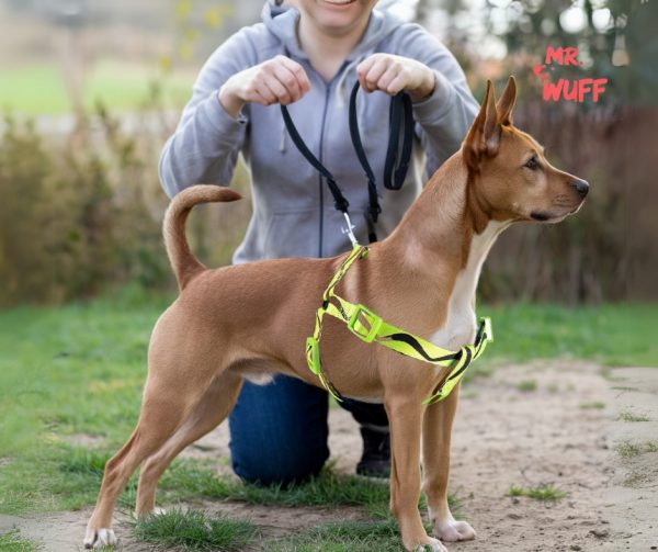 Pechera Arnes De Seguridad Para Perros Resistente Mr Wuff Amarillo S - Imagen 8