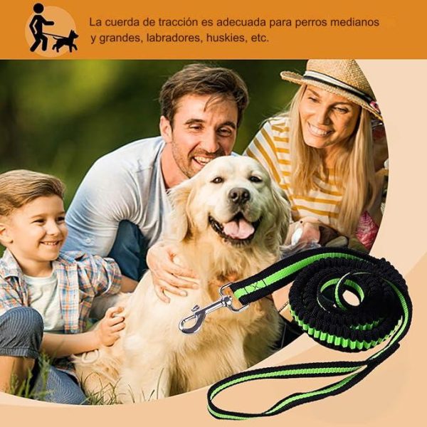 Correa Para Perro Elástica 1.20m Resistente De Alta Calidad Gancho Metalico Color Verde - Imagen 5