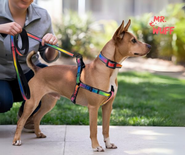 Pechera Arnés De Seguridad Perro Con Correa Y Collar Mr Wuff Multicolor L - Imagen 7