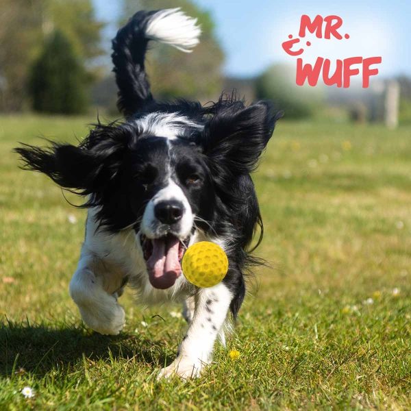 Pelota Juguete Para Perro De Sonido Mordible Grande Mr Wuff - Imagen 2