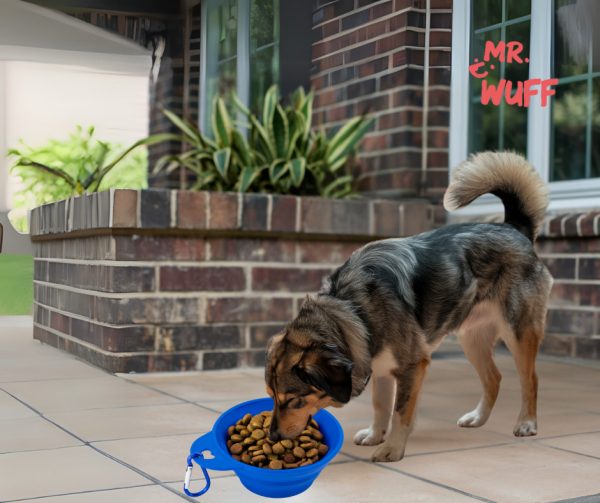 Plato Comedero Para Perro Plegable 11x6x3.5cm Mr Wuff Azul - Imagen 4