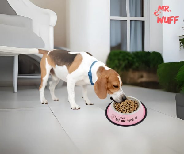 Plato Comedero Perro Antidezlizante 538 G 19oz 22 Cm Mr Wuff Color Rosa - Imagen 4