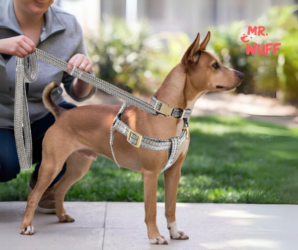 Pechera Arnés De Seguridad Perro Con Correa Y Collar Mr Wuff Gris M - Imagen 6