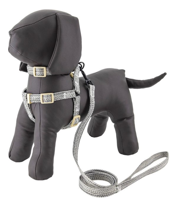 Pechera Arnés De Seguridad Perro Con Correa Y Collar Mr Wuff Gris M - Imagen 7