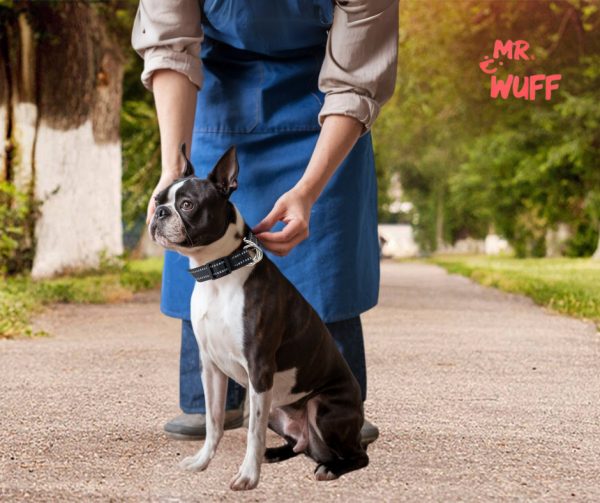 Collar Para Perro Reflejante Cierre Argollas Ajusta Mr Wuff Negro L - Imagen 7