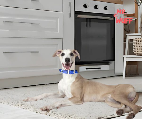 Collar Para Perro Hebilla Cinturon Metal Ajustable Mr Wuff Azul Collar Para Perro M - Imagen 4