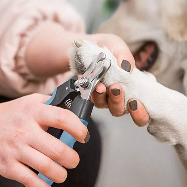 Corta Uñas Perro Gato Mascota Mr Wuff Antdeslizante Color Azul - Imagen 8