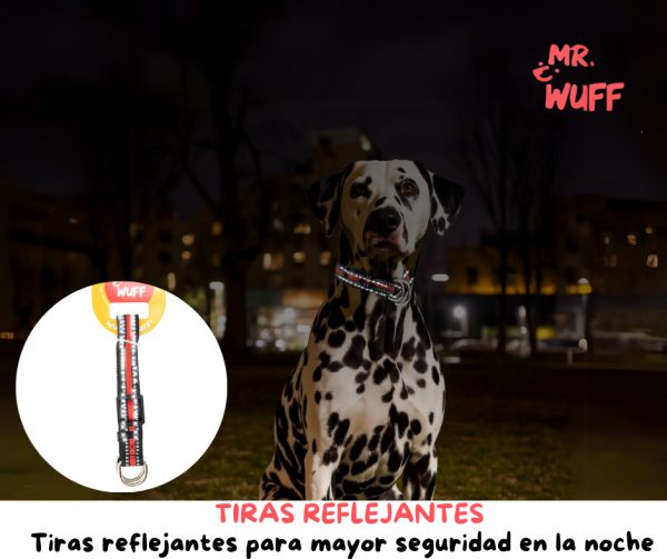 Collar Para Perro Reflejante Cierre Argollas Ajusta Mr Wuff Rojo Xl - Imagen 5
