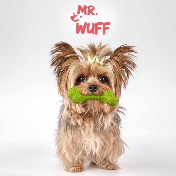 Juguete Para Perro Hueso Mordible Con Textura Sabor Res Verde - Imagen 5