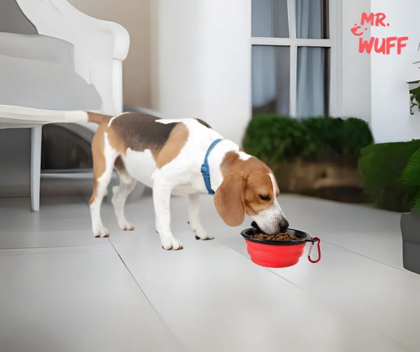 Plato Comedero Perro Plegable Interactivo Grande Mr Wuff Rojo - Imagen 6