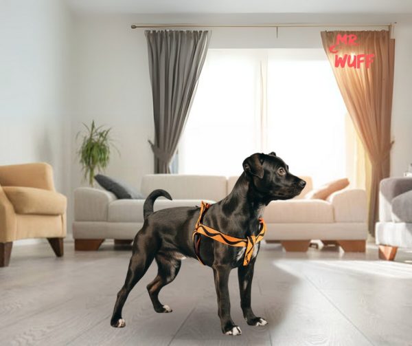 Pechera Arnes De Seguridad Para Perros Resistente Mr Wuff Naranja S - Imagen 6
