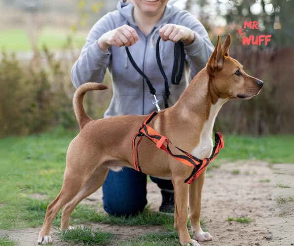 Pechera Arnes De Seguridad Para Perros Resistente Mr Wuff Rojo M - Imagen 8
