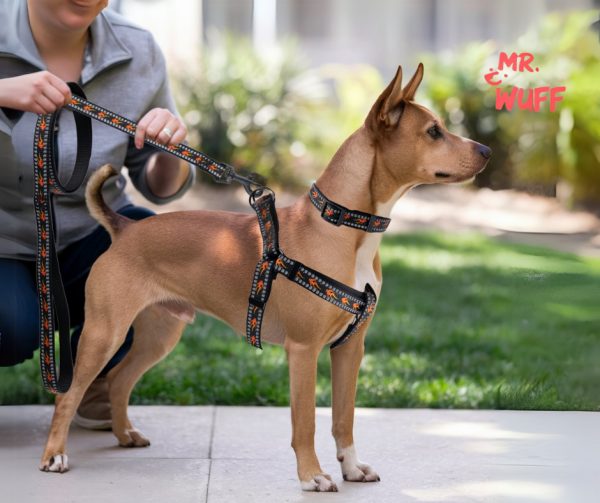 Pechera Arnés De Seguridad Perro Con Correa Y Collar Mr Wuff Negro M - Imagen 4