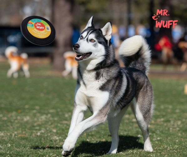 Frisbee Volador Perro Mr Wuff Resistente Flexible Negro - Imagen 3