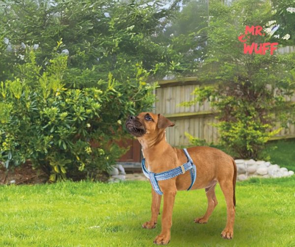Pechera Arnes De Seguridad Para Perros Resistente Mr Wuff Rosa L - Imagen 6