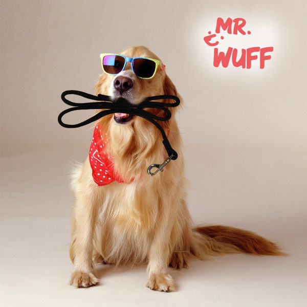 Correa Mr Wuff Perro Grande Cuerda Resistente Y Fuerte Negro - Imagen 6