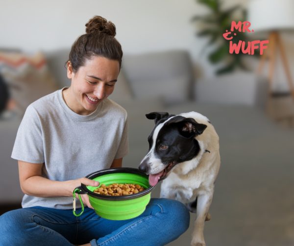 Plato Comedero Perro Plegable Interactivo Grande Mr Wuff Color Verde - Imagen 6
