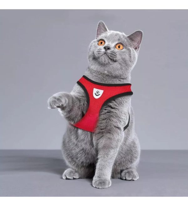 Pechera Perro Arnes Seguridad Mr Wuff Chico Mediano Y Grande Rojo M37-47cm - Imagen 8