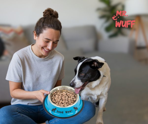 Plato Comedero Perro Antidezlizante 765 G 27oz 26 Cm Mr Wuff Azul - Imagen 6
