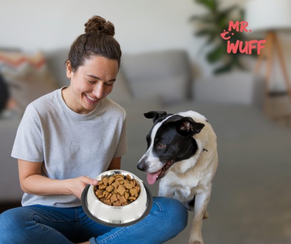 Plato Comedero Perro Antidezlizante 170 G 6 Oz 16 Cm Mr Wuff Color Plateado - Imagen 2