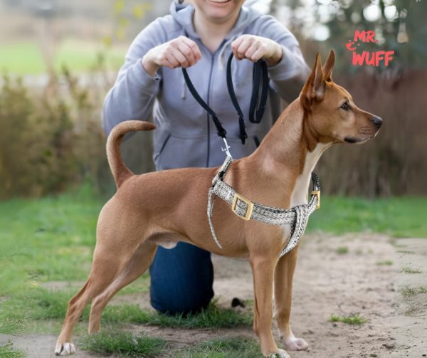 Pechera Arnes De Seguridad Para Perros Resistente Mr Wuff Gris M - Imagen 8