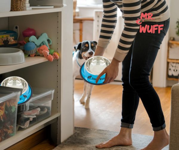 Plato Comedero Perro Antidezlizante 765 G 27oz 26 Cm Mr Wuff Azul - Imagen 8