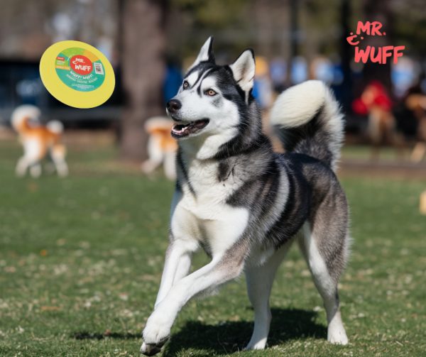 Frisbee Volador Perro Mr Wuff Resistente Flexible Amarillo - Imagen 3