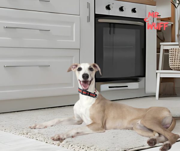 Collar Para Perro Reflejante Cierre Argollas Ajusta Mr Wuff Rojo Xl - Imagen 4