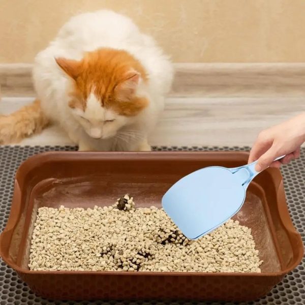 Pala Recogedor Arenero Para Gatos Mr Wuff Con Tapadera Color Azul - Imagen 4