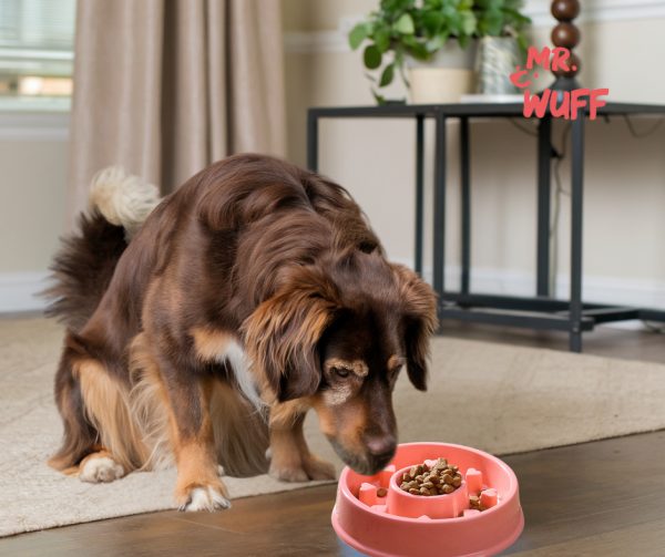 Plato Comedero Para Perro Interactivo Comida Lenta Mr Wuff Rosa Corazon - Imagen 4
