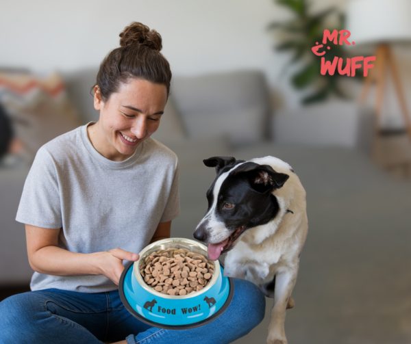 Plato Comedero Perro Antidezlizante 538 G 19oz 22 Cm Mr Wuff Color Azul - Imagen 5