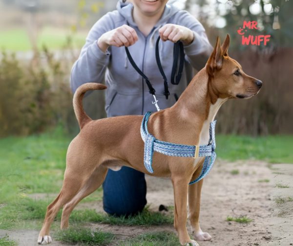 Pechera Arnes De Seguridad Para Perros Resistente Mr Wuff Azul M - Imagen 8