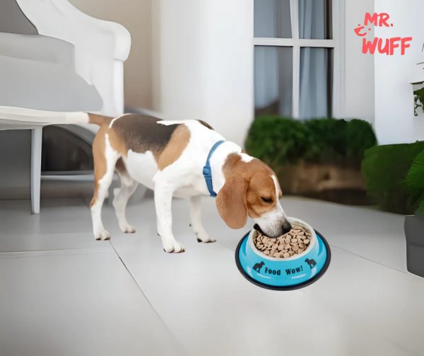 Plato Comedero Perro Antidezlizante 765 G 27oz 26 Cm Mr Wuff Azul - Imagen 4