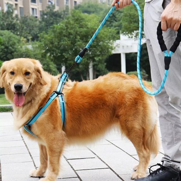 Correa Para Perro Fuerte Reflejante Mango Acolchado Mr Wuff Color Azul - Imagen 6