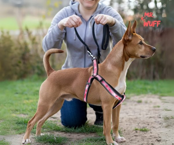 Pechera Arnes De Seguridad Para Perros Resistente Mr Wuff Rosa Flores M - Imagen 6