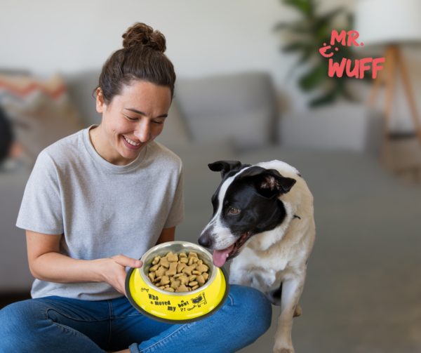 Plato Comedero Perro Antidezlizante 538 G 19oz 22 Cm Mr Wuff Color Amarillo - Imagen 5