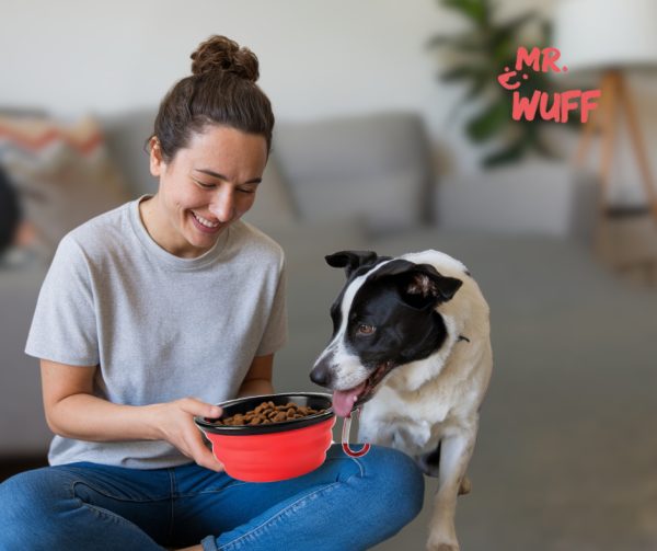Plato Comedero Perro Plegable Interactivo Grande Mr Wuff Color Rojo - Imagen 6