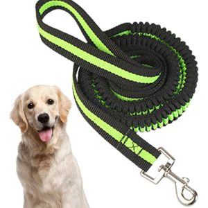 Correa Para Perro Elástica 1.20m Resistente De Alta Calidad Gancho Metalico Color Verde